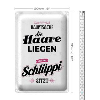 Blechschild Spruch Hauptsache Haare liegen Schlüppi 20x30cm