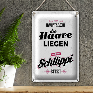 Blechschild Spruch Hauptsache Haare liegen Schlüppi 20x30cm