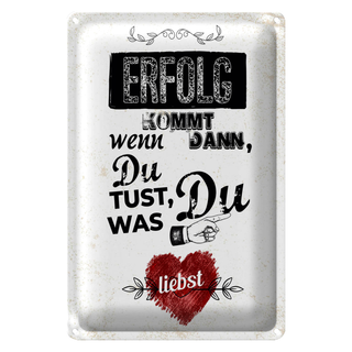 Blechschild Spruch Erfolg dann du tust was du liebst 20x30cm