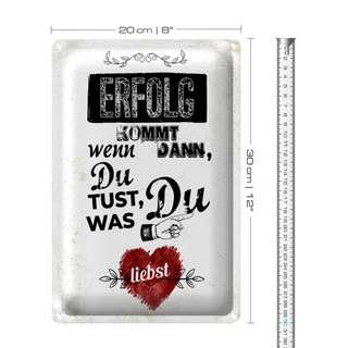 Blechschild Spruch Erfolg dann du tust was du liebst 20x30cm