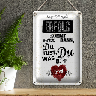 Blechschild Spruch Erfolg dann du tust was du liebst 20x30cm