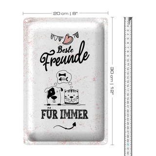 Blechschild Spruch Beste Freunde für immer 20x30cm
