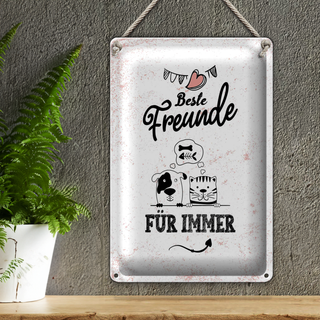 Blechschild Spruch Beste Freunde für immer 20x30cm
