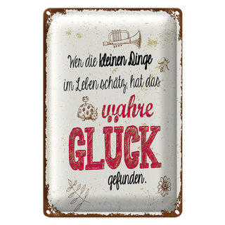 Blechschild Spruch Wer kleine Dinge schätzt hat Glück 20x30cm