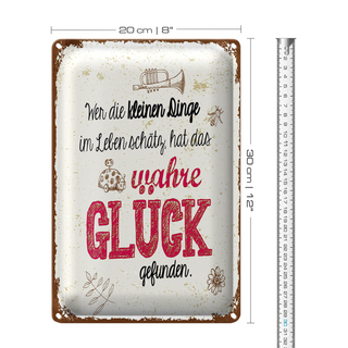 Blechschild Spruch Wer kleine Dinge schätzt hat Glück 20x30cm