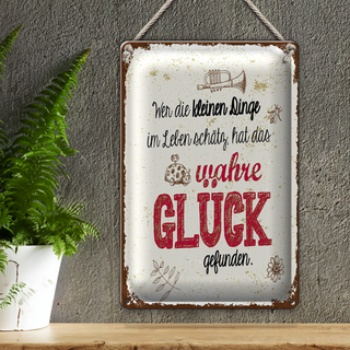 Blechschild Spruch Wer kleine Dinge schätzt hat Glück 20x30cm