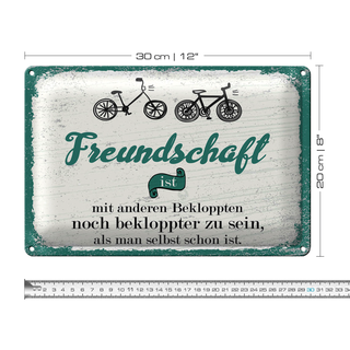 Blechschild Spruch Freundschaft noch bekloppter sein 30x20cm