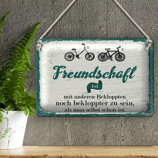 Blechschild Spruch Freundschaft noch bekloppter sein 30x20cm