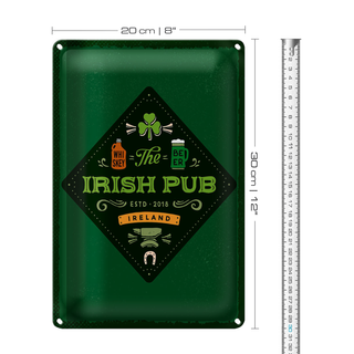 Blechschild Spruch Ireland Irish Pub Whiskey Beer 20x30cm