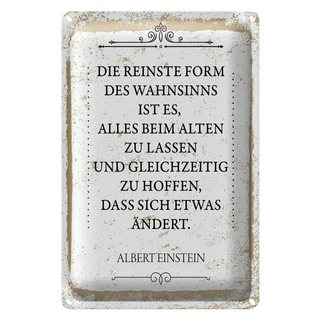 Blechschild Spruch Einstein reinste Form Wahnsinns 20x30cm