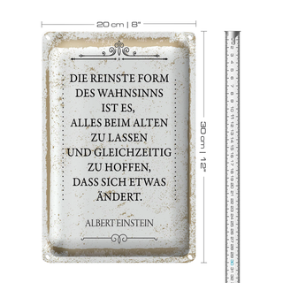 Blechschild Spruch Einstein reinste Form Wahnsinns 20x30cm