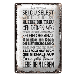 Blechschild Spruch Sei du selbst mache Fehler lerne 20x30cm