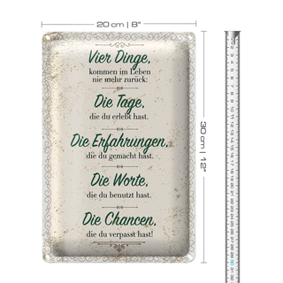 Blechschild Spruch Vier Dinge kommen nie zurück 20x30cm