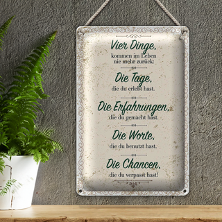 Blechschild Spruch Vier Dinge kommen nie zurück 20x30cm