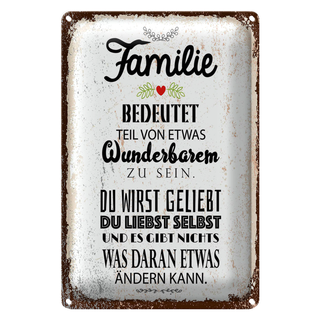 Blechschild Spruch Familie Teil von etwas wunderbarem 20x30cm