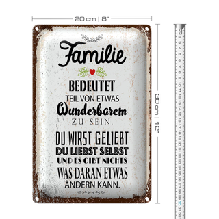 Blechschild Spruch Familie Teil von etwas wunderbarem 20x30cm