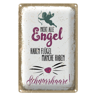Blechschild Spruch Nicht alles Engel haben Flügel 20x30cm