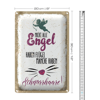 Blechschild Spruch Nicht alles Engel haben Flügel 20x30cm