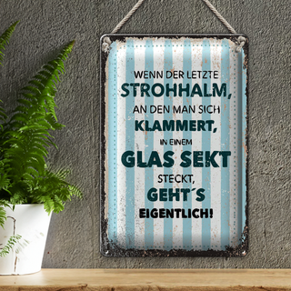 Blechschild Spruch Wenn der letzte Strohhalman 20x30cm