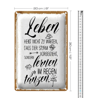 Blechschild Spruch Leben nicht warten Sturm vorbei 20x30cm