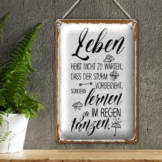 Blechschild Spruch Leben nicht warten Sturm vorbei 20x30cm