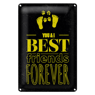 Blechschild Spruch Freunde You I best friends forever 20x30cm