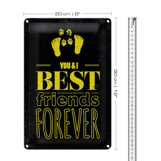 Blechschild Spruch Freunde You I best friends forever 20x30cm