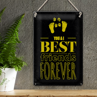 Blechschild Spruch Freunde You I best friends forever 20x30cm