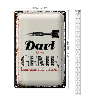 Blechschild Spruch Dart Genie kann man nicht lernen 20x30cm