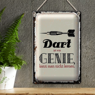 Blechschild Spruch Dart Genie kann man nicht lernen 20x30cm