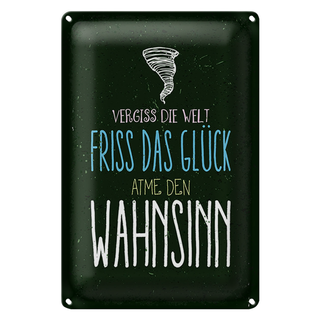 Blechschild Spruch Glück vergiss Welt atme Wahnsinn 20x30cm