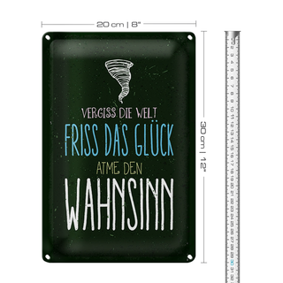 Blechschild Spruch Glück vergiss Welt atme Wahnsinn 20x30cm