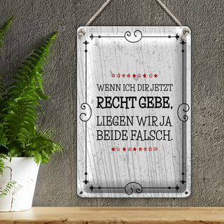Blechschild Spruch Wenn dir Recht gebe beide falsch 20x30cm