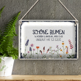 Blechschild Spruch schöne Blumen wachsen langsam 30x20cm