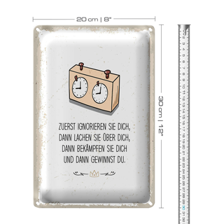 Blechschild Spruch Zuerst ignorieren dich du gewinnst 20x30cm