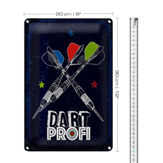 Blechschild Sportart Dart Profi Dartpfeile 20x30cm