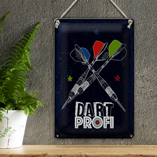 Blechschild Sportart Dart Profi Dartpfeile 20x30cm
