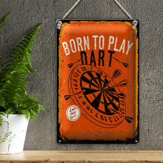 Blechschild Spruch Born to play Dart Let`s play 20x30cm