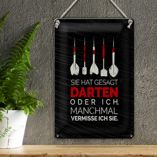 Blechschild Spruch lustig sie gesagt Darten oder ich 20x30cm