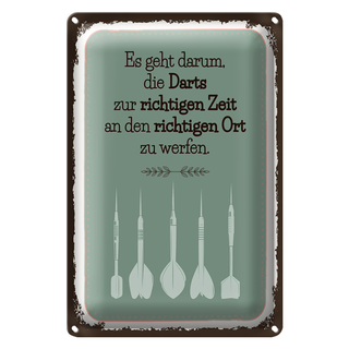 Blechschild Spruch Darts zur richtigen Zeit werfen 20x30cm