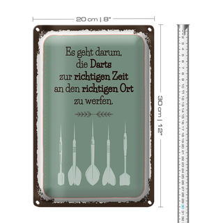 Blechschild Spruch Darts zur richtigen Zeit werfen 20x30cm