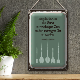 Blechschild Spruch Darts zur richtigen Zeit werfen 20x30cm