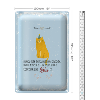 Blechschild Spruch kein Ersatz für eine Katze 20x30cm