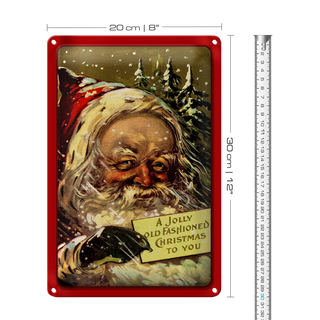 Blechschild Weihnachtsmann Winter Schnee Christmas 20x30cm