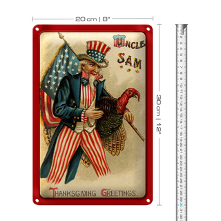 Blechschild Weihnachten Amerika Truhthahn Winter 20x30cm