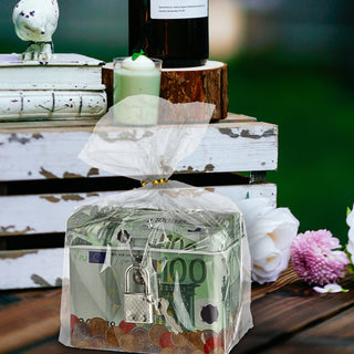 Spardose mit Vorhängeschloß "100 EUR Scheine" abschließbar Blech Sparbüchse Büchse Gelddose