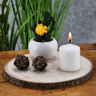 Baumscheibe 29x29x3cm Paulownia Holzscheibe Naturprodukt Scheibe Holz Holzplatte Dekoelement