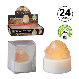 6 / 24er Set LED Teelicht Himalaya ca. H5 cm
