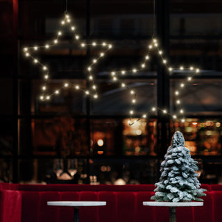 LED Stern weiß/schwarz 30/40 LEDs Outdoor Ø30/Ø40cm Batteriebetrieben zum Aufhängen Weihnachtsstern Leuchtstern Gartendekoration