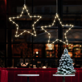 LED Stern weiß/schwarz 30/40 LEDs Outdoor Ø30/Ø40cm Batteriebetrieben zum Aufhängen Weihnachtsstern Leuchtstern Gartendekoration